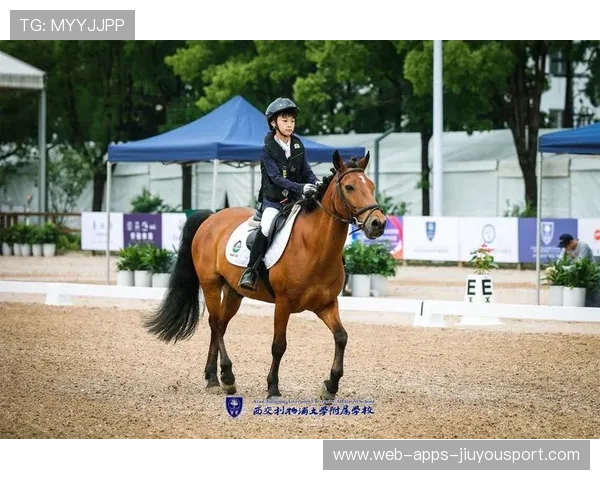 马术比赛裁判对动物福利提出新建议，行业规范化推进